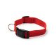 COLLIER POUR ANIMAUX KORAT