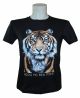 Papier FC TOP DARK30