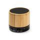 HAUT-PARLEURS BLUETOOTH NERVO