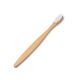 BROSSE A DENTS FRESH